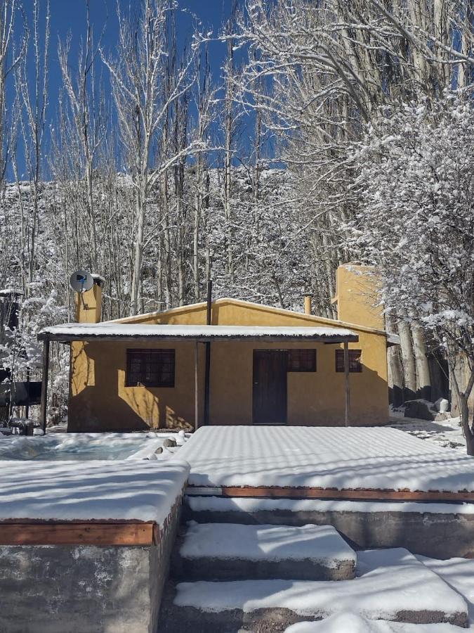 Cabana Pura Vida Potrerillos Exterior foto